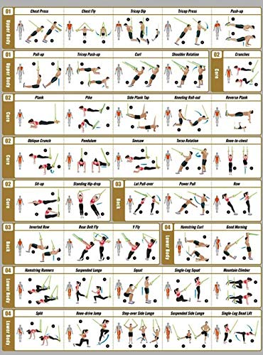 bodyweight Entrenamiento en Suspensión, Correas del Kit de Entrenamiento de Resistencia física para Puerta, Barra de tracción, Punto de Anclaje para Ejercicios completos del Cuerpo V1