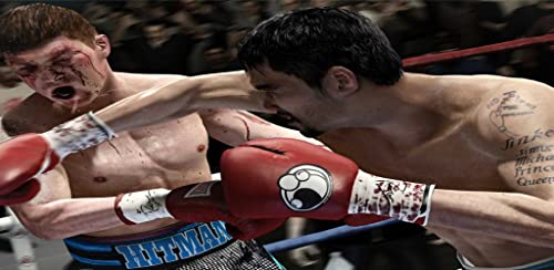 Boxing 3D Mania