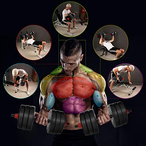 CCLIFE Mancuernas Ajustables con Pesas Barra y Discos 20/30 / 40KG Mancuernas 2en1, Color:2 x 10 KG,Negra,sin Barra