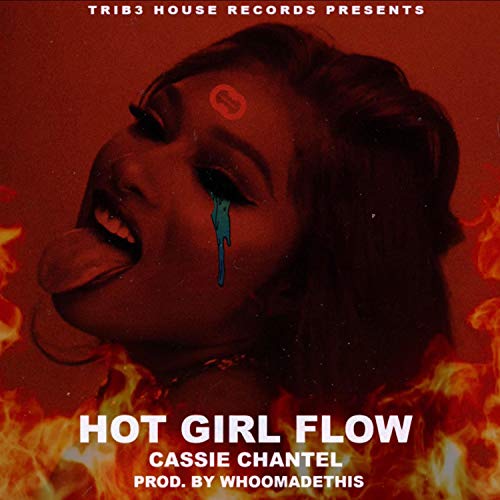 Hot Girl Flow [Explicit]