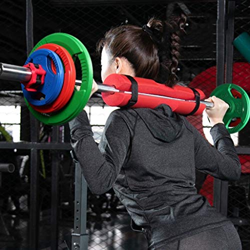 Jiande Las Placas con Barra de 2 Pulgadas Olímpico Grip Placa Micro Peso for Barra Olímpica o la Pesa de Color Barra Inicio Levantamiento de Pesas 1,25 kg * * 2 2-25kg (Size : 20kg*2)