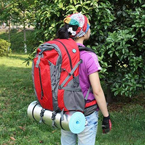 Leoie - Esterilla de yoga antideslizante para actividades en interiores, yoga, pilates al aire libre, almohadilla de entrenamiento de fitness y picnic, color azul, tamaño 180 * 50 * 0.6cm