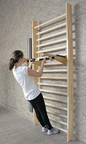 Pedalo Sprossenwand Set I Dip Brazo I Klimmzug Kletter-Trainingsboard I Squats I fisioterapia I Fitness