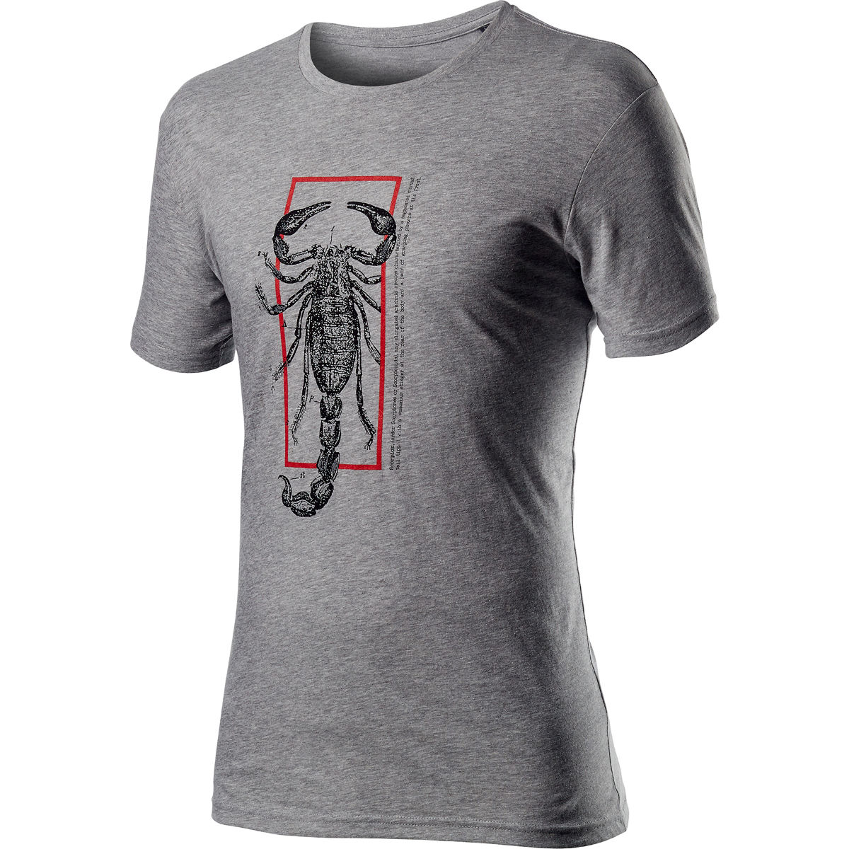 Camiseta Castelli Logo  - Camisetas
