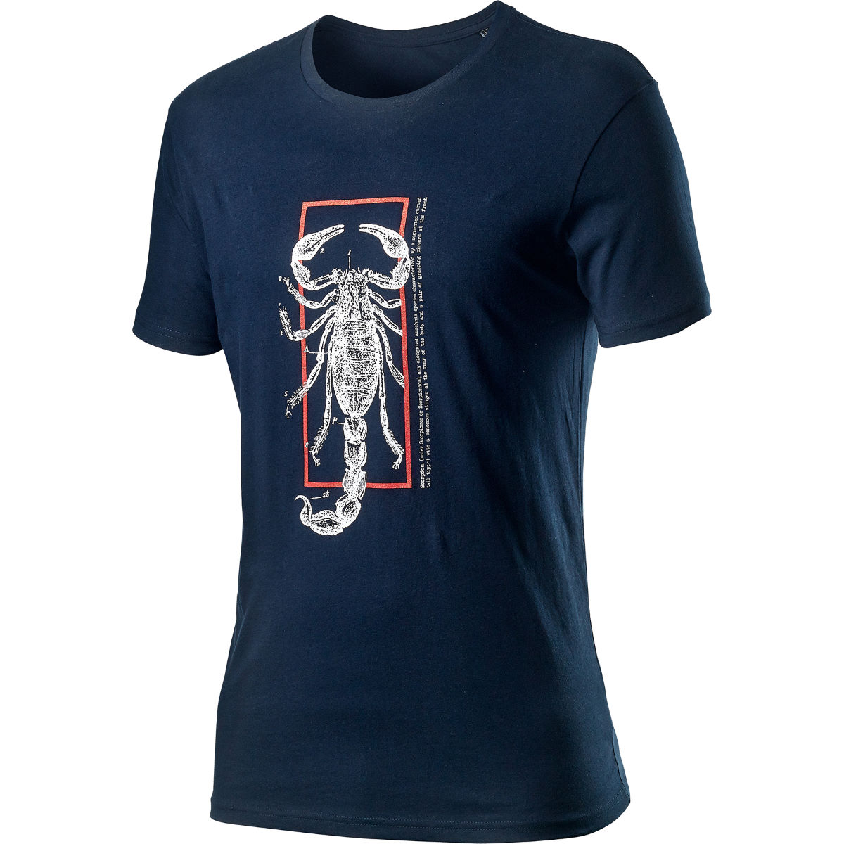 Camiseta Castelli Logo  - Camisetas