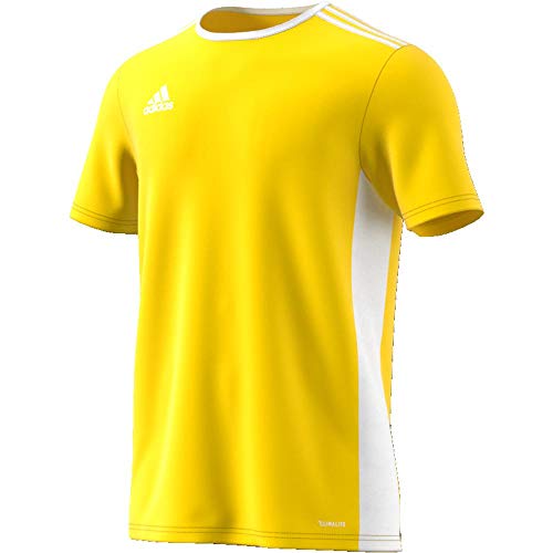 adidas Entrada 18 JSY T-Shirt, Hombre, Yellow/White, M