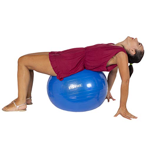 Calma Dragon Pelota de Pilates 55cm / 65cm / 75cm Diámetro, Balón para Embarazadas, Fitball, con Inflador Incluido, Bola Grande para Yoga, Gimnasia, Fitness (Azul, 75)