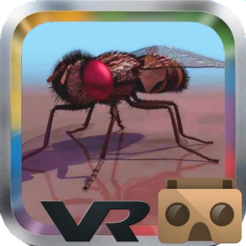 Fly Simulator VR