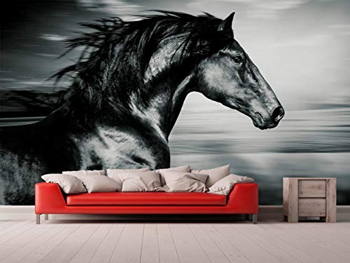 Fotomural Vinilo para Pared Caballo Negro | Fotomural para Paredes | Mural | Vinilo Decorativo | Varias Medidas 200 x 150 cm | Decoración comedores, Salones, Habitaciones.