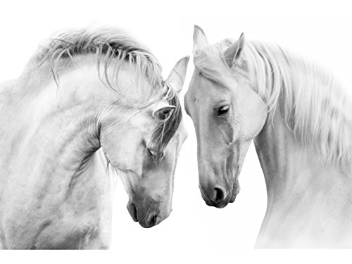 Fotomural Vinilo para Pared Caballos Blancos | Fotomural para Paredes | Mural | Vinilo Decorativo | Varias Medidas 150 x 100 cm | Decoración comedores, Salones, Habitaciones.