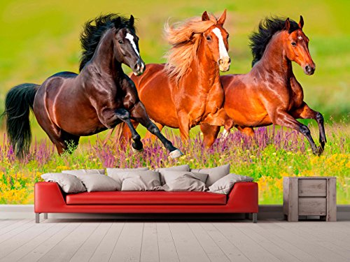 Fotomural Vinilo para Pared Caballos | Fotomural para Paredes | Mural | Vinilo Decorativo | Varias Medidas 200 x 150 cm | Decoración comedores, Salones, Habitaciones.