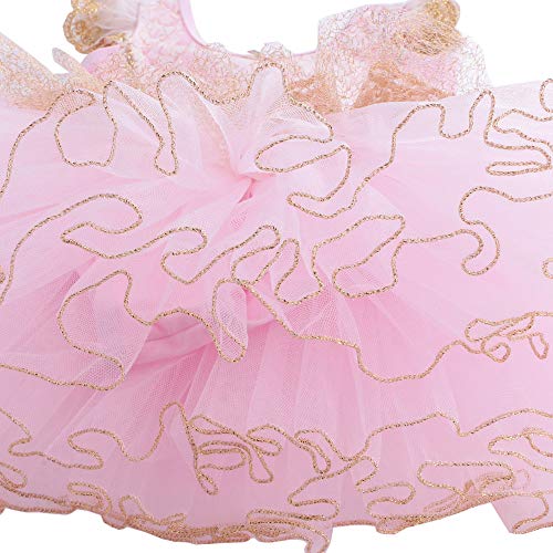 HUAANIUE Princesa Vestido de La Elegancia de La Danza del Tutú del Ballet Clásico de Encaje