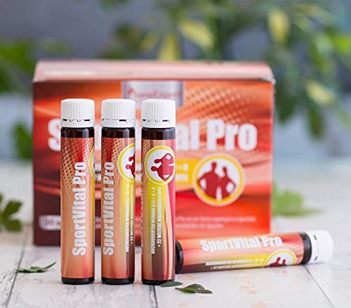SanaExpert SportVital Pro, complejo multivitamínico para fortalecer el sistema inmunológico, no solo para deportistas, L-carnitina, 30 ampollas de 25 ml, dosis alta, naranja