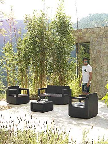 Shaf Venus Conjunto Muebles Sofa 2 Plazas + 2 Sillones