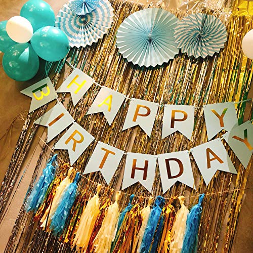 YWILL Cortinas de Malla Metálica/Cortina de lámina/Franjas Decoración Fondopara Fiesta de Cumpleaños/Bodas,Decoraciones Bricolaje Ventana/Puerta Apoyos Foto/Fotomatón para Festival Navidad (1x2.5m)