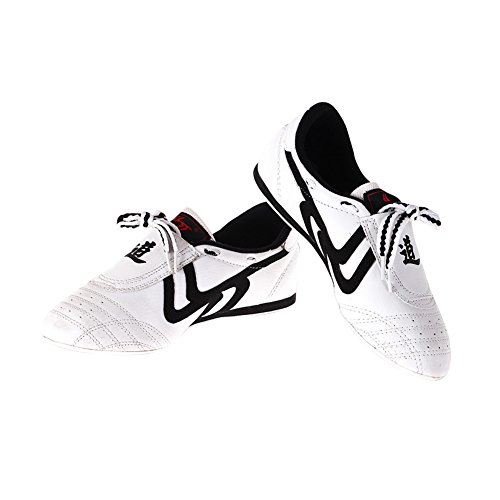 Zapatos de Taekwondo, Zapatos Antideslizantes de Artes Marciales ( tamaño : 43 )