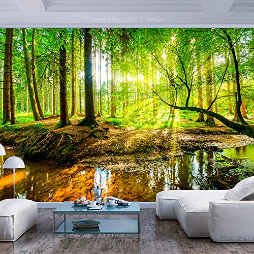 murando Fotomurales 300x210 cm XXL Papel pintado tejido no tejido Decoración de Pared decorativos Murales moderna de Diseno Fotográfico Bosque Naturaleza c-B-0241-a-a