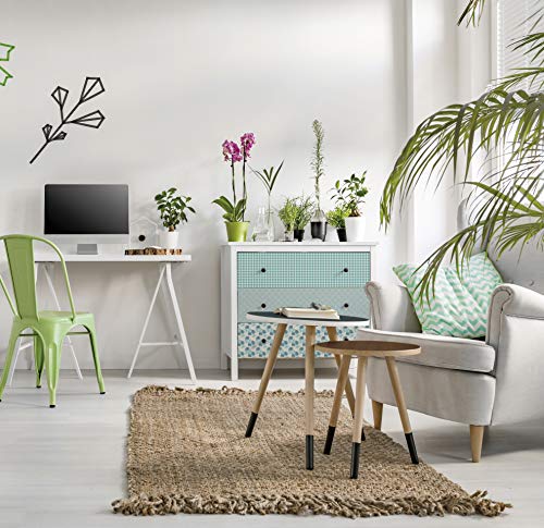 Venilia Adhesiva Motivo Tropical, Decorativa, Muebles, Papel Pintado, lámina autoadhesiva, sin ftalatos, 45 cm x 2 m, Espesor: 0,16 mm, 54782