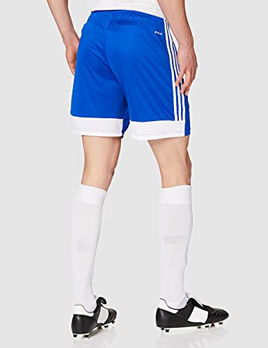 adidas Tastigo19 SHO Pantalones Cortos de Deporte, Hombre, Bold Blue/White, M