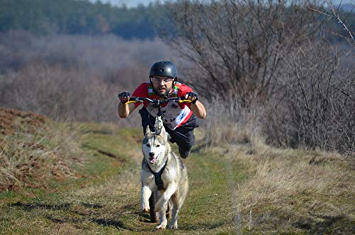 Arnés para perros X-Back de Northern Howl, para trineo y esquí de perros, en azul-amarillo neón