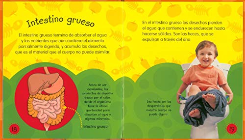El aparato digestivo (El cuerpo humano)