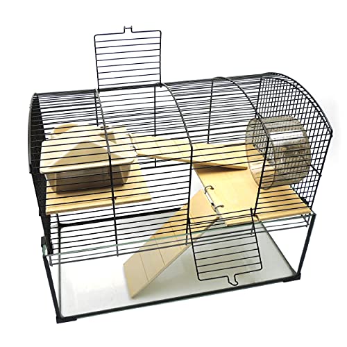 Little Friends Mayfair - Jaula de gerbilarium con Accesorios, 51,5 x 28 x 40 cm