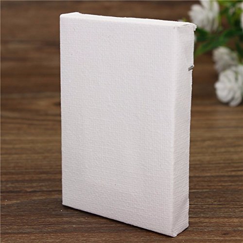 Tutoy 10 Piezas Mini Estirado Artistas Lienzo Pequeño Tablero De Arte Acrílico Pintura Al Óleo - Los 5 * 7cm