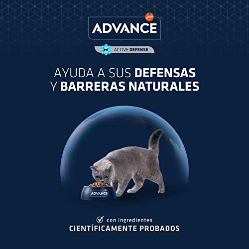 ADVANCE Cat KITTEN C&R 10 KG