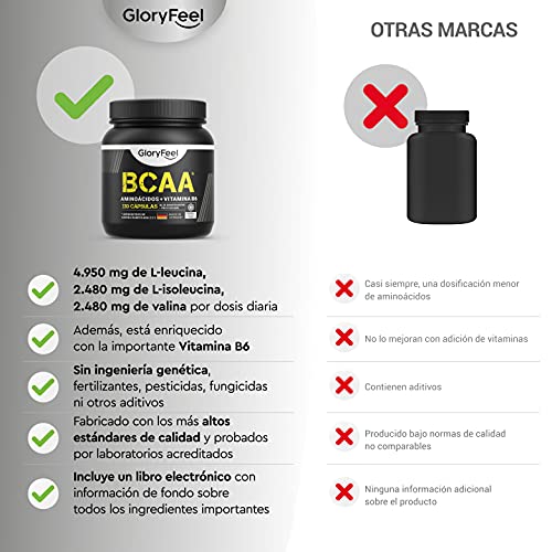 BCAA 330 Cápsulas - 9.910mg de BCAA por dosis diaria - Aminoácidos esenciales Leucina, Valina e Isoleucina + Vitamina B6 - Probado en laboratorios y sin aditivos - Fabricado en Alemania