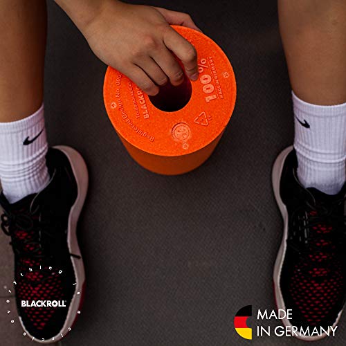 BLACK ROLL Blackroll Foam Roller Pro Hard Gris
