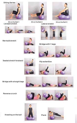 DASKING Bola de Yoga Bola de Entrenamiento de Gimnasia Bola de Fitness Bola de Masaje Bola de Yoga de Cacahuete Pelota de Goma (Morado)