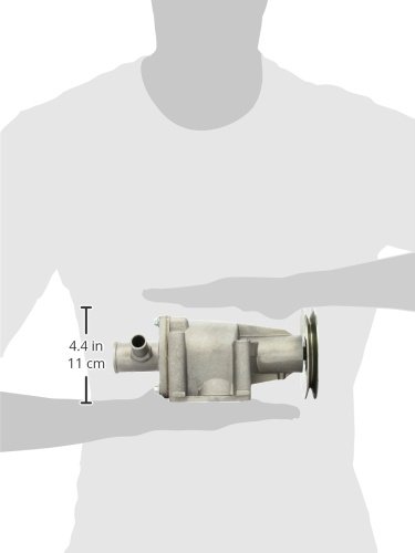 DOLZ S199 Bomba de Agua