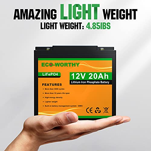 ECO-WORTHY 12V 20Ah Batería Recargable de fosfato de Litio y Hierro LiFePO4 con más de 3000 Veces de Ciclo Profundo y protección BMS para Kit de Panel Solar, Scooter, RV, Marino, hogar, Scooter