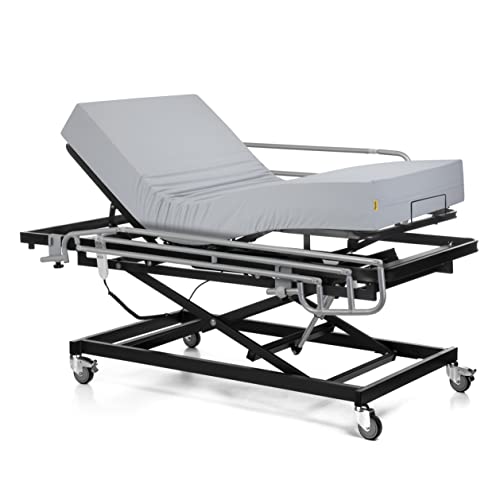 Ferlex - Cama articulada geriátrica con Carro Elevador (90x190, Barandillas + Colchón Sanitario)
