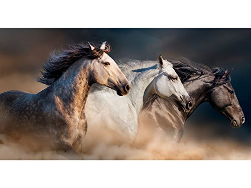 Fotomural Vinilo para Pared Caballos | Fotomural para Paredes | Mural | Vinilo Decorativo | Varias Medidas 150 x 100 cm | Decoración comedores, Salones, Habitaciones.