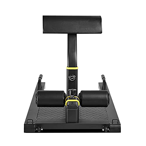 Inicio Gimnasio Equipo de Fitness, Multifunción Sissy Squat Bench Home Gym Gym Workout Station Pierna Ejercicio Máquina de Ejercicios (Color : Black)