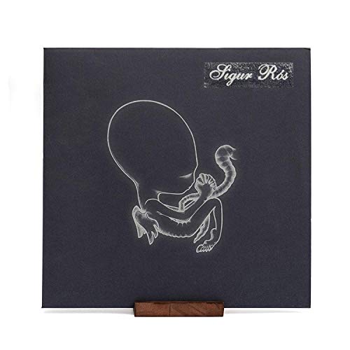﻿﻿KAIU Premium Expositor para Discos de Vinilo en Madera - Vitrina para Discos - Estanteria de Soporte - Organizador de Vinilos Decorativos