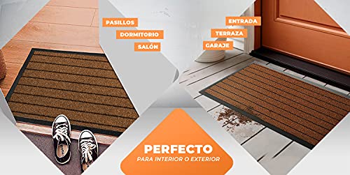 LucaHome - Felpudo Entrada a casa Nevada, Felpudo Entrada casa Antideslizante, Impermeable, Lavable, Antibacterias, Pasillo, Cocina, Dormitorio, Felpudo Interior y Exterior (Marrón, 40 x 60 cm)