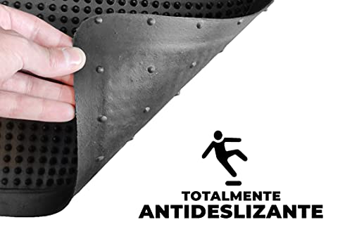 LucaHome – Felpudo Goma Picos Entrada casa para Exterior o Interior, Felpudo con púas Rectangular Antideslizante con Picos para facilitar la Limpieza del Calzado, Felpudo de Color Negro (30 x 55 cm)