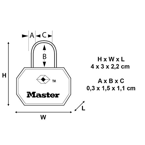 Master Lock 4681EURTBLK Envase da 2 Candados para Equipaje Aprobado por la TSA con Llaves, Negro, 4 x 3 x 2,2 cm
