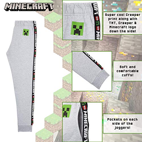 Minecraft Chandal Niño, Ropa Niño Deportiva, Pantalon Chandal en Color Gris o Negro, Pantalones Deporte Largos para Chicos, Regalos para Niños y Adolescentes Edad 5-14 Años (13-14 años, Gris)