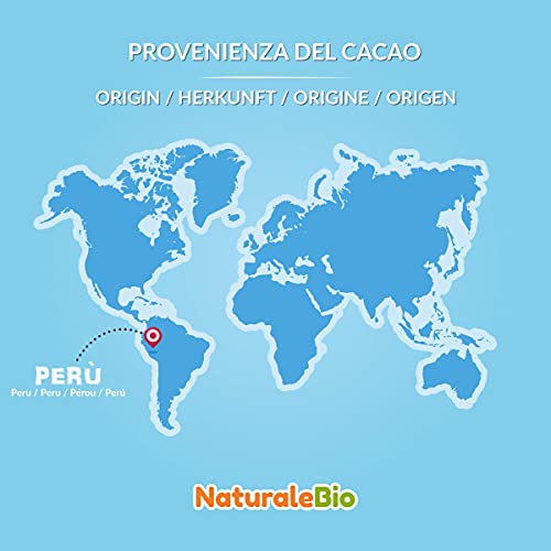 Nibs de Cacao Crudo Ecológico 1 kg. Puntas de Cacao Bio, Natural y Puro. Cultivado en Perú a partir de la planta Theobroma cacao. Fuente de magnesio, potasio y hierro. NaturaleBio
