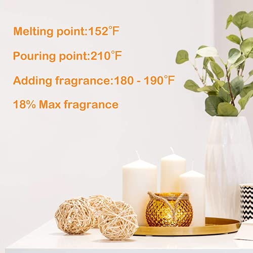 NRANSON Vela Haciendo Kit de DIY derretir Cera Kit para Principiantes Vela Suministros con 500ml de Cera más cálido 4PCS Cera de Abejas 2PCS Vela tarros Vela moldes para 50PCS Vela mechas