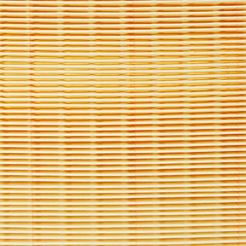 Original MANN-FILTER Filtro de aire C 25 109/1 – Para Automóviles