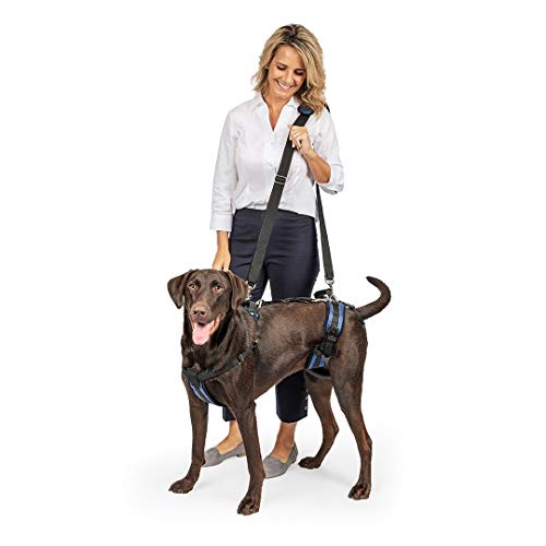 PetSafe Carelift - Arnés de Soporte - Soporte de Cuerpo Completo con Asa - Ideal para Perros Enfermos o Mayores - Material Transpirable y Cómodo - Fácil Ajuste - Perro Grande