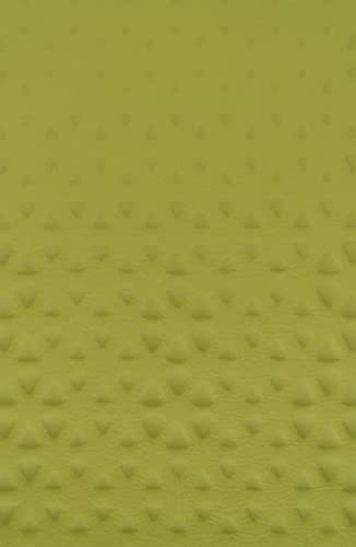 Sea to Summit Camp Mat Self Inflating Rectangular L Colchoneta, Adultos Unisex, Verde Oliva (Verde)