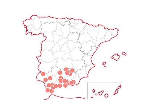 Smartbox - Caja Regalo Amor para Parejas - Magia en Andalucía - Ideas Regalos Originales - 1 Noche con Desayuno y Cena, SPA o Bodega o 2 Noches con Desayuno para 2 Personas