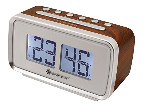 Soundmaster UR105BR - Radio portatil con Altavoces incorporados, Multicolor