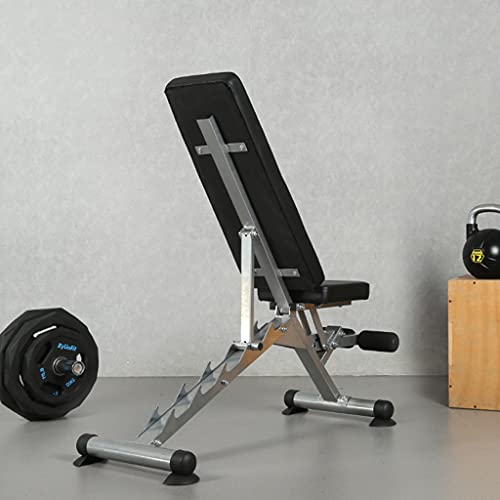 Tabla de Abdominales Banco Plegable con Mancuernas Press de banca para pájaros domésticos Silla Multifuncional para Ejercicios Tabla de músculos Abdominales