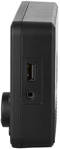 Telestar Dira M 5i - Radio por Internet (Pantalla a Color TFT, UPnP y Reproductor Multimedia USB, Despertador, Bluetooth 5.1, Control Remoto vía aplicación Soundmat)